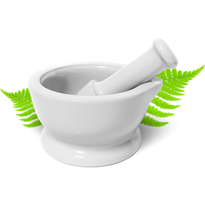 Shower Mint and Lime Refreshing 400ml